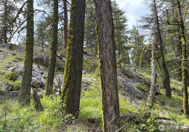 Photo 2 of Land for sale at 33 Outback Rd, Oroville, WA 98844 | MLS# NWM2541257 | Listing updated on 2026-09-22