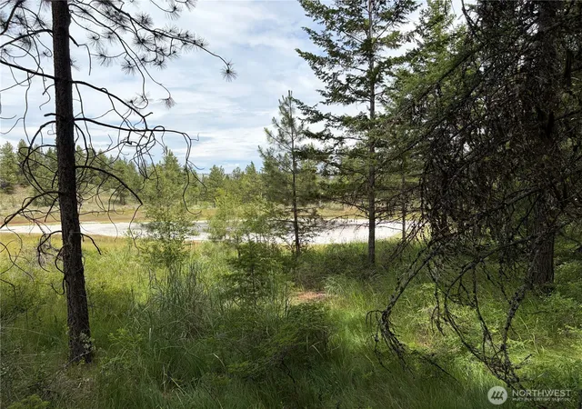 Photo 3 of Land for sale at 33 Outback Rd, Oroville, WA 98844 | MLS# NWM2541257 | Listing updated on 2026-09-22