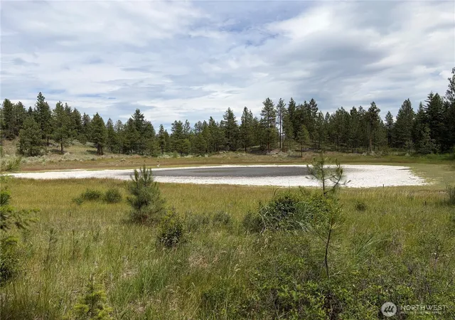 Photo 3 of Land for sale at 33 Outback Rd, Oroville, WA 98844 | MLS# NWM2541257 | Listing updated on 2026-09-22