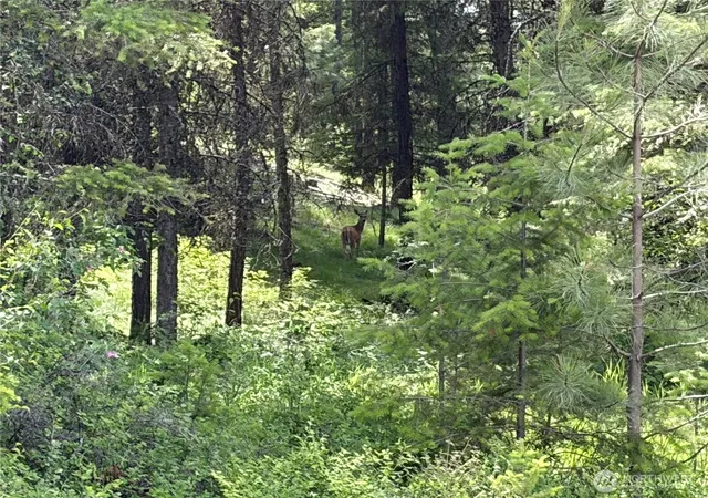 Photo 4 of Land for sale at 33 Outback Rd, Oroville, WA 98844 | MLS# NWM2541257 | Listing updated on 2026-09-22