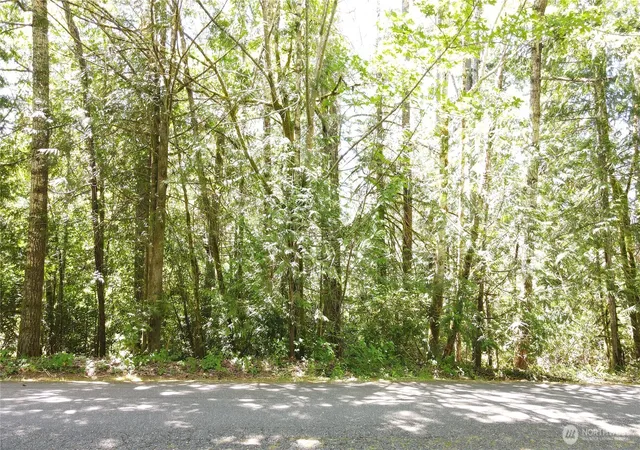 Photo 4 of Land for sale at 0 E Geist Point Rd, Shelton, WA 98584 | MLS# NWM2541292 | Listing updated on 2026-09-22