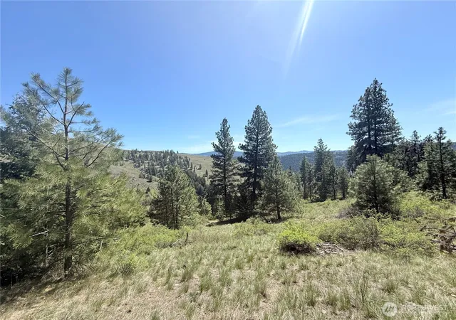 Photo 2 of Land for sale at 35 Sqove Rd, Wauconda, WA 98859 | MLS# NWM2541317 | Listing updated on 2026-09-22
