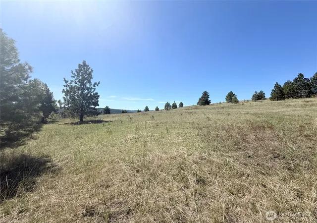 Photo 3 of Land for sale at 35 Sqove Rd, Wauconda, WA 98859 | MLS# NWM2541317 | Listing updated on 2026-09-22
