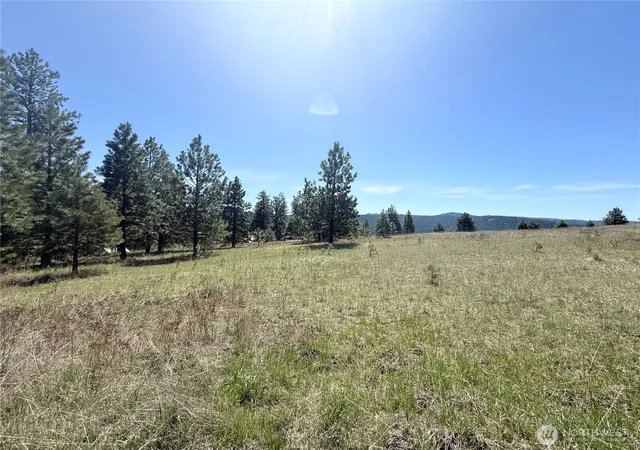 Photo 3 of Land for sale at 35 Sqove Rd, Wauconda, WA 98859 | MLS# NWM2541317 | Listing updated on 2026-09-22