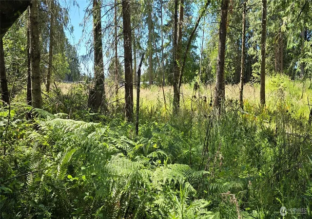 Photo 3 of Land for sale at 4 Lunderville Ln, Port Angeles, WA 98362 | MLS# NWM2541393 | Listing updated on 2026-09-22