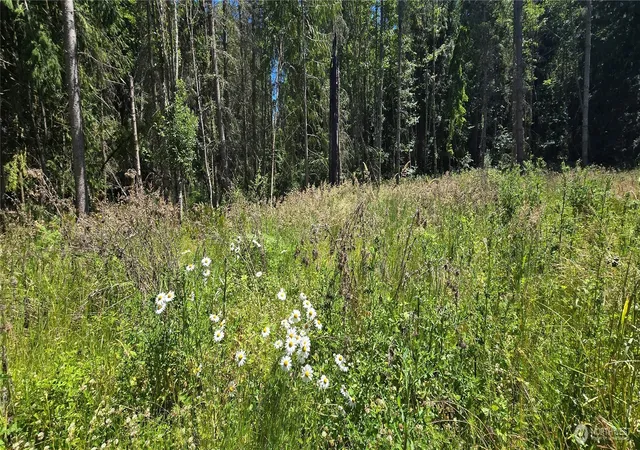 Photo 3 of Land for sale at 4 Lunderville Ln, Port Angeles, WA 98362 | MLS# NWM2541393 | Listing updated on 2026-09-22