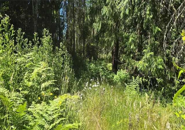 Photo 4 of Land for sale at 4 Lunderville Ln, Port Angeles, WA 98362 | MLS# NWM2541393 | Listing updated on 2026-09-22