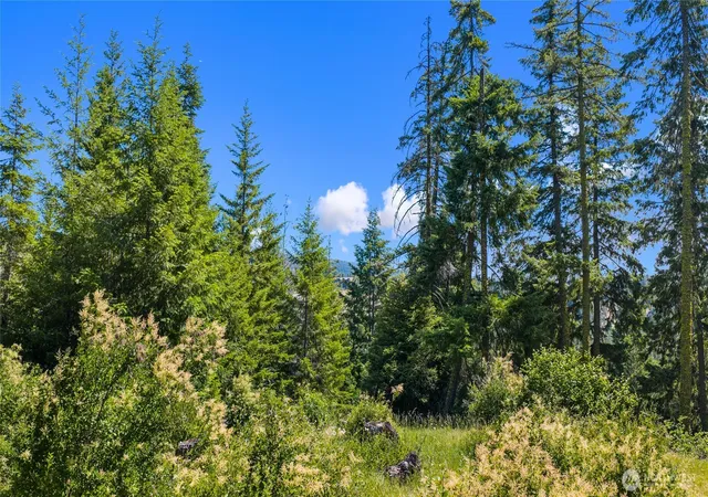 Photo 3 of Land for sale at 261 Morning Star Ln, Cle Elum, WA 98922 | MLS# NWM2541632 | Listing updated on 2026-09-22