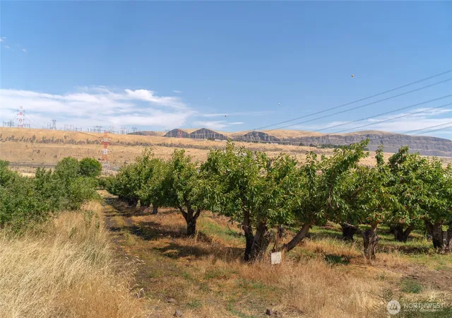 Photo 3 of Land for sale at 7199 Lots 1-2 Tarpiscan Rd, Malaga, WA 98828 | MLS# NWM2541660 | Listing updated on 2026-09-26