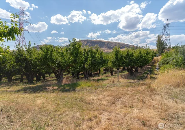 Photo 4 of Land for sale at 7199 Lots 1-2 Tarpiscan Rd, Malaga, WA 98828 | MLS# NWM2541660 | Listing updated on 2026-09-26