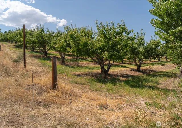 Photo 2 of Land for sale at 7199 Lot 3 Tarpiscan Rd, Malaga, WA 98828 | MLS# NWM2541678 | Listing updated on 2026-09-26