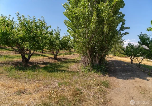 Photo 3 of Land for sale at 7199 Lot 3 Tarpiscan Rd, Malaga, WA 98828 | MLS# NWM2541678 | Listing updated on 2026-09-26