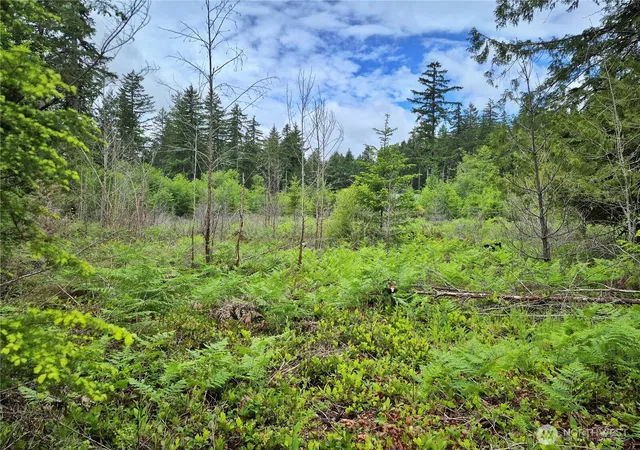 Photo 1 of Land for sale at 7 W Wilderness Ln, Seabeck, WA 98380 | MLS# NWM2541737 | Listing updated on 2026-09-29