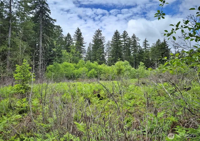 Photo 3 of Land for sale at 7 W Wilderness Ln, Seabeck, WA 98380 | MLS# NWM2541737 | Listing updated on 2026-09-29