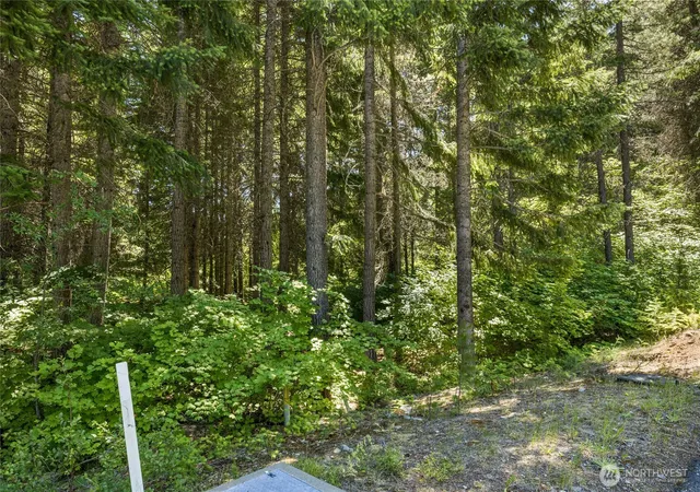 Photo 3 of Land for sale at 30 Scatter Crk Loop, Cle Elum, WA 98922 | MLS# NWM2541780 | Listing updated on 2026-09-22