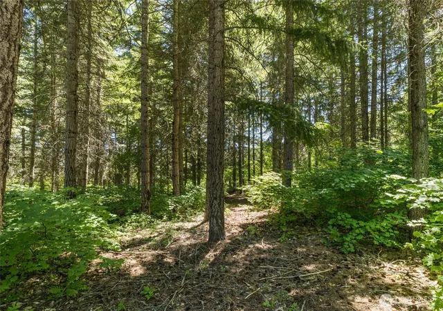 Photo 4 of Land for sale at 30 Scatter Crk Loop, Cle Elum, WA 98922 | MLS# NWM2541780 | Listing updated on 2026-09-22