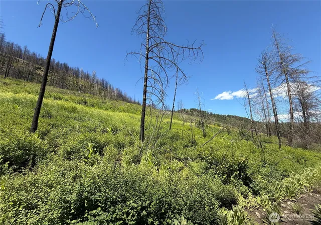 Photo 2 of Land for sale at 0 Lot 32 4th Of July Crk Rd, Danville, WA 99121 | MLS# NWM2541852 | Listing updated on 2026-09-22