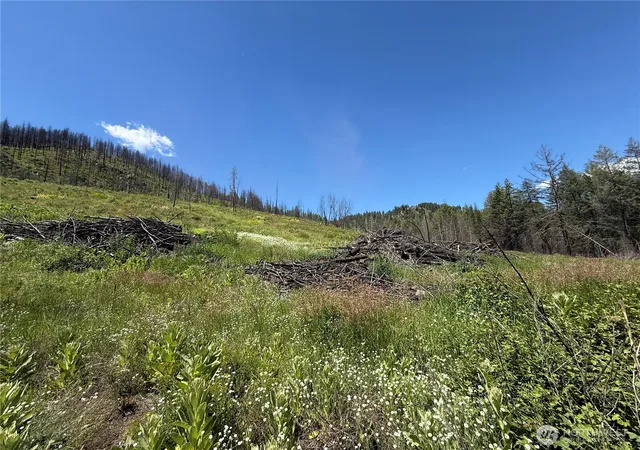 Photo 3 of Land for sale at 0 Lot 32 4th Of July Crk Rd, Danville, WA 99121 | MLS# NWM2541852 | Listing updated on 2026-09-22