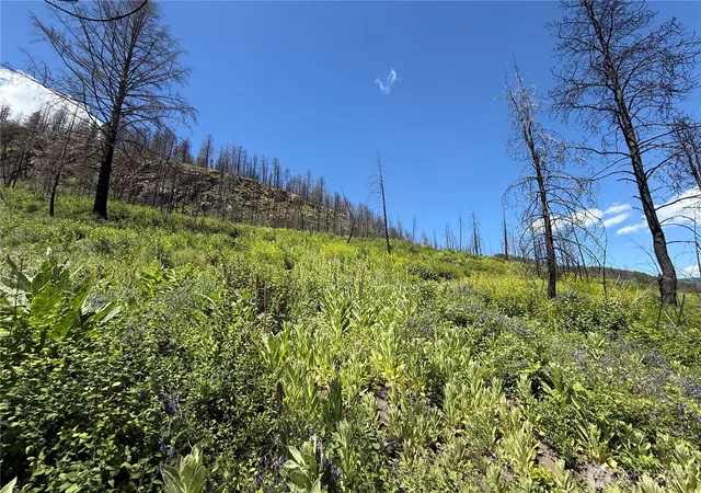 Photo 3 of Land for sale at 0 Lot 32 4th Of July Crk Rd, Danville, WA 99121 | MLS# NWM2541852 | Listing updated on 2026-09-22