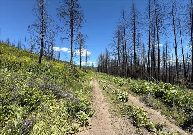 Photo 4 of Land for sale at 0 Lot 32 4th Of July Crk Rd, Danville, WA 99121 | MLS# NWM2541852 | Listing updated on 2026-09-22