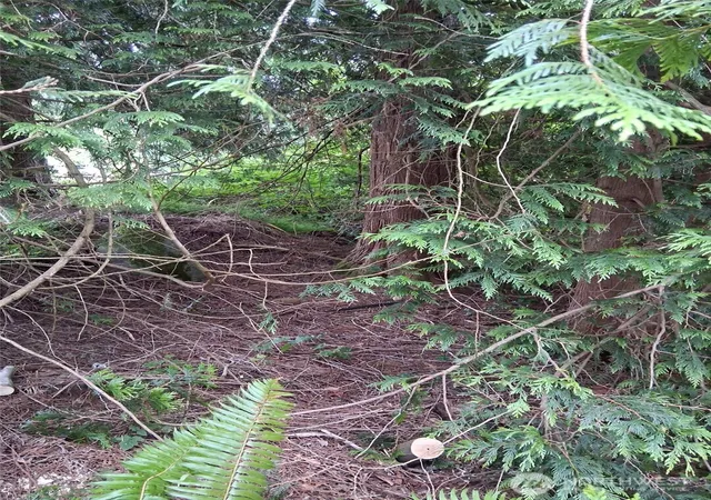Photo 2 of Land for sale at 12 353rd Avenue Se, Ravensdale, WA 98051 | MLS# NWM2541876 | Listing updated on 2026-09-22