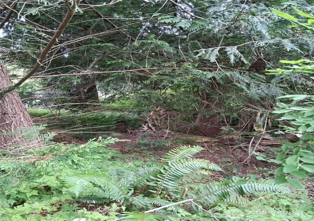 Photo 3 of Land for sale at 12 353rd Avenue Se, Ravensdale, WA 98051 | MLS# NWM2541876 | Listing updated on 2026-09-22