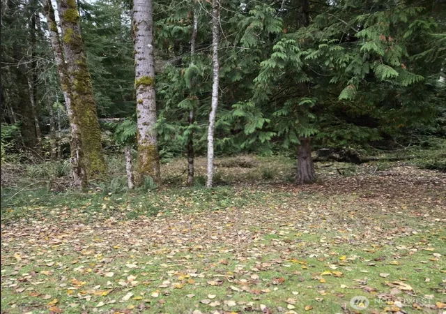 Photo 3 of Land for sale at 8 Huckleberry Ct, Bellingham, WA 98229 | MLS# NWM2541896 | Listing updated on 2026-09-22