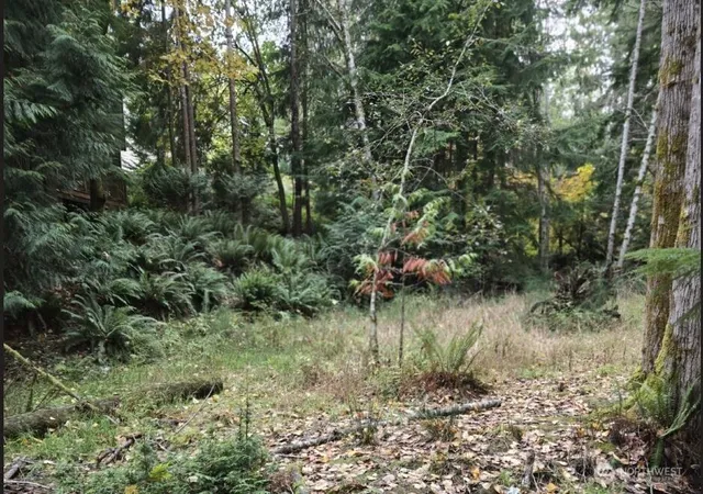 Photo 3 of Land for sale at 8 Huckleberry Ct, Bellingham, WA 98229 | MLS# NWM2541896 | Listing updated on 2026-09-22