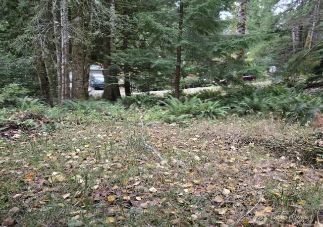Photo 4 of Land for sale at 8 Huckleberry Ct, Bellingham, WA 98229 | MLS# NWM2541896 | Listing updated on 2026-09-22