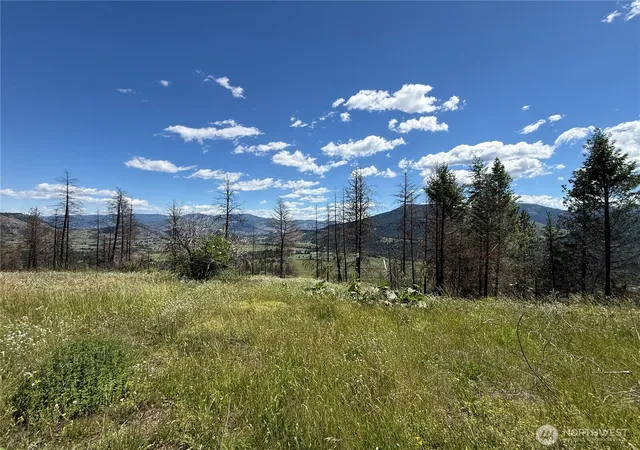 Photo 2 of Sale Pending at 367 4th Of July Crk Rd, Danville, WA 99121 | MLS# NWM2541957 | Listing updated on 2026-09-25