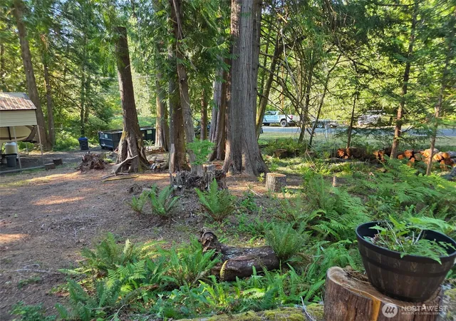 Photo 3 of Land for sale at 71 E Lakeshore Dr, Shelton, WA 98584 | MLS# NWM2542174 | Listing updated on 2026-09-22