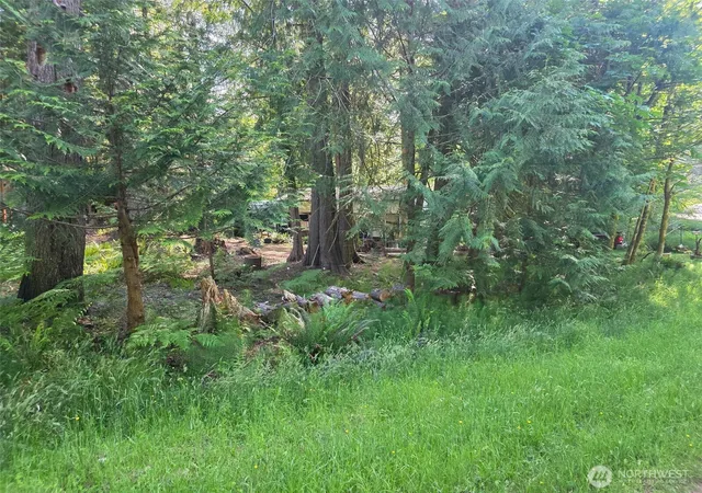Photo 4 of Land for sale at 71 E Lakeshore Dr, Shelton, WA 98584 | MLS# NWM2542174 | Listing updated on 2026-09-22