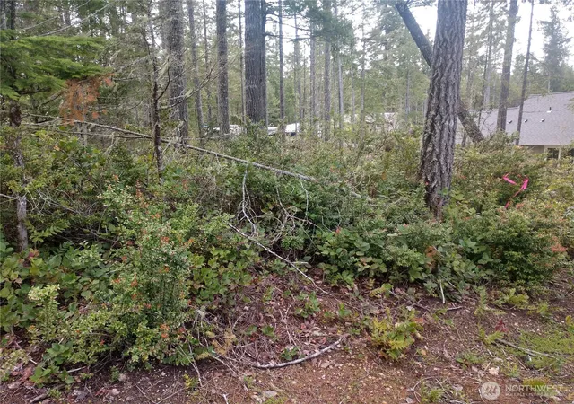 Photo 2 of Land for sale at 161 E Blackberry Ln, Union, WA 98592 | MLS# NWM2542240 | Listing updated on 2026-09-22