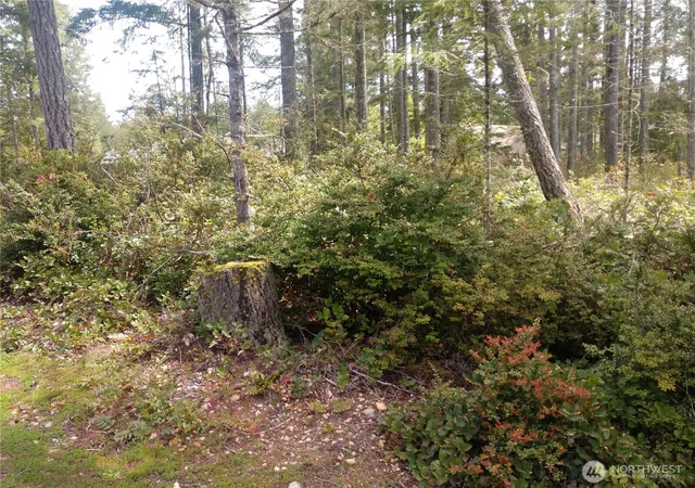 Photo 3 of Land for sale at 161 E Blackberry Ln, Union, WA 98592 | MLS# NWM2542240 | Listing updated on 2026-09-22
