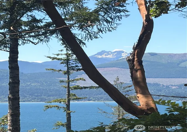 Photo 3 of Land for sale at 1 Xxxx Foxglove Ln, Quilcene, WA 98376 | MLS# NWM2542380 | Listing updated on 2026-09-24