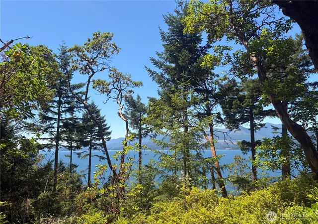 Photo 4 of Land for sale at 1 Xxxx Foxglove Ln, Quilcene, WA 98376 | MLS# NWM2542380 | Listing updated on 2026-09-24