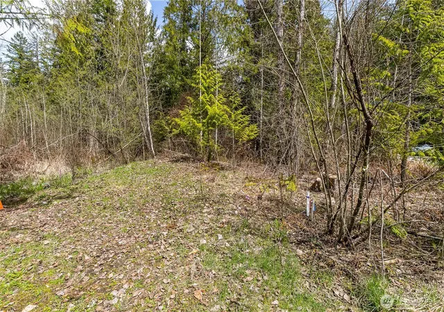 Photo 2 of Land for sale at 17045 Iceberg Rd, Deming, WA 98244 | MLS# NWM2542387 | Listing updated on 2026-09-22