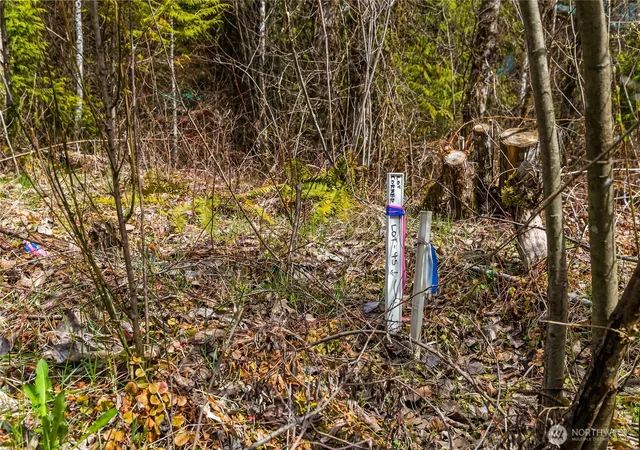 Photo 3 of Land for sale at 17045 Iceberg Rd, Deming, WA 98244 | MLS# NWM2542387 | Listing updated on 2026-09-22