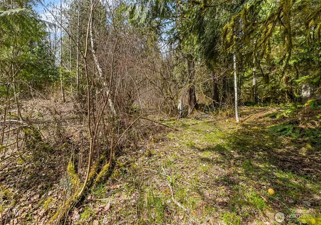 Photo 3 of Land for sale at 17045 Iceberg Rd, Deming, WA 98244 | MLS# NWM2542387 | Listing updated on 2026-09-22