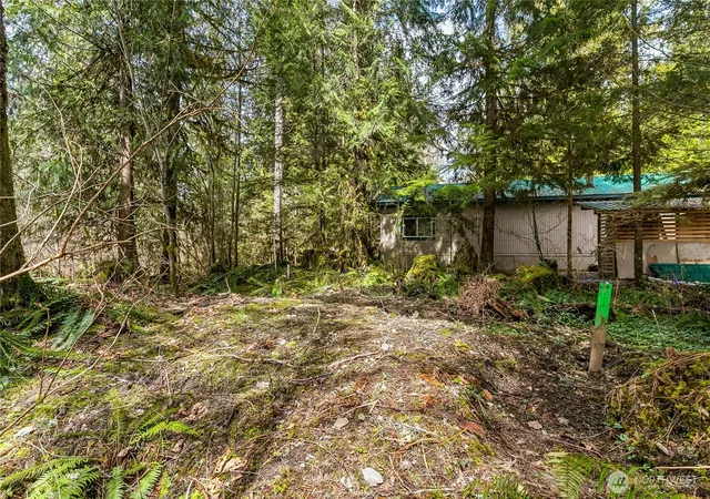 Photo 4 of Land for sale at 17045 Iceberg Rd, Deming, WA 98244 | MLS# NWM2542387 | Listing updated on 2026-09-22