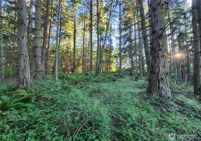 Photo 3 of Land for sale at 1664 Lancaster Rd, Freeland, WA 98249 | MLS# NWM2542411 | Listing updated on 2026-09-30