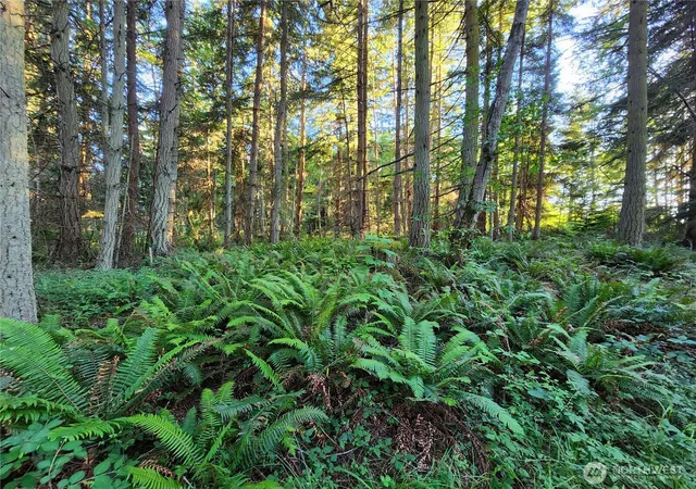 Photo 3 of Land for sale at 1664 Lancaster Rd, Freeland, WA 98249 | MLS# NWM2542411 | Listing updated on 2026-09-30