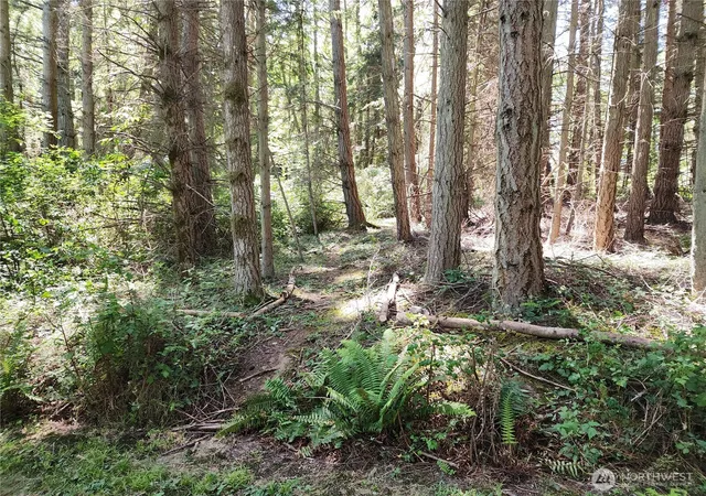Photo 4 of Land for sale at 1664 Lancaster Rd, Freeland, WA 98249 | MLS# NWM2542411 | Listing updated on 2026-09-30