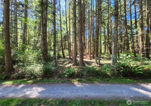 Photo 2 of Land for sale at 1664 Lancaster Rd, Freeland, WA 98249 | MLS# NWM2542411 | Listing updated on 2026-09-30
