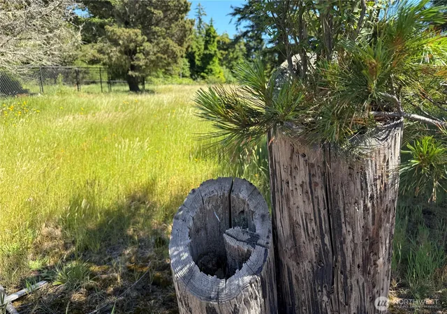 Photo 2 of Land for sale at 21850 V Ln, Ocean Park, WA 98640 | MLS# NWM2542567 | Listing updated on 2026-09-22