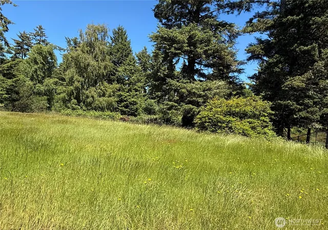 Photo 3 of Land for sale at 21850 V Ln, Ocean Park, WA 98640 | MLS# NWM2542567 | Listing updated on 2026-09-22