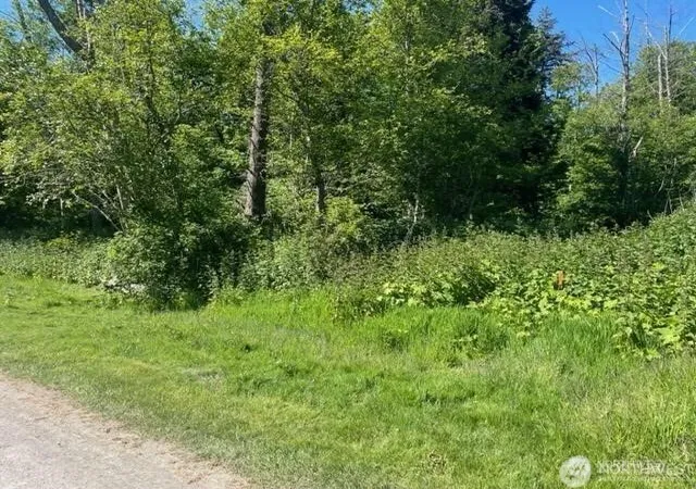 Photo 1 of Land for sale at 90 F Tulalip Way, Hat Island, WA 98260 | MLS# NWM2542632 | Listing updated on 2026-09-23