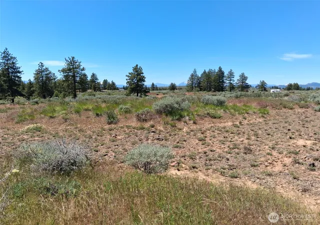 Photo 3 of Land for sale at 113 Falcon Ridge Rd, East Wenatchee, WA 98802 | MLS# NWM2542644 | Listing updated on 2026-09-22