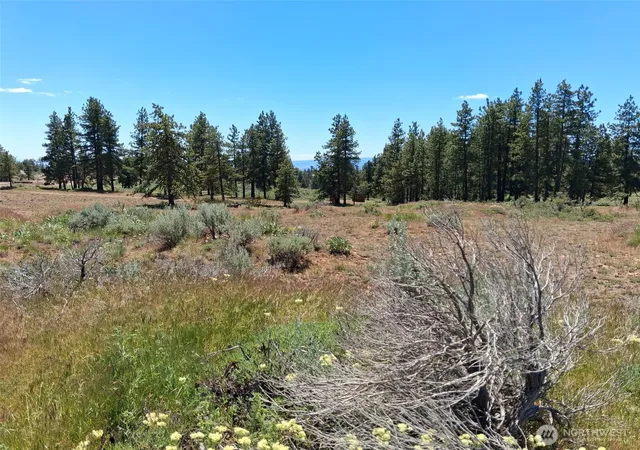 Photo 3 of Land for sale at 113 Falcon Ridge Rd, East Wenatchee, WA 98802 | MLS# NWM2542644 | Listing updated on 2026-09-22