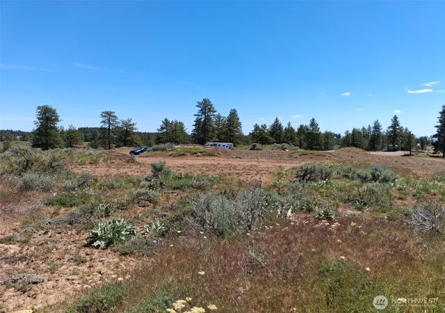 Photo 4 of Land for sale at 113 Falcon Ridge Rd, East Wenatchee, WA 98802 | MLS# NWM2542644 | Listing updated on 2026-09-22